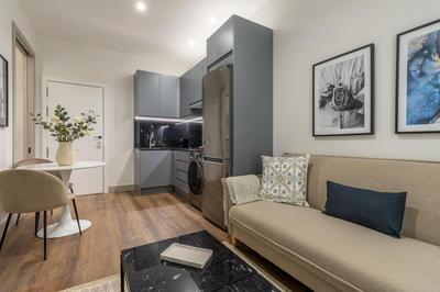 Accessible 2-Single Bed Apartment in Chamberí Adapted Bathroom, Quevedo III