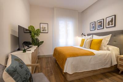 Charming Studio in Chamberí Madrid