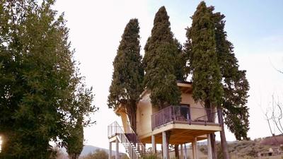 Agriturismo La Masseria - La casa tra gli alberi