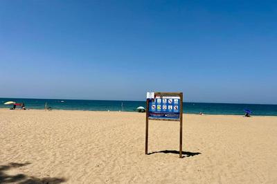 Schnuckelige Wohnung nähe Meer