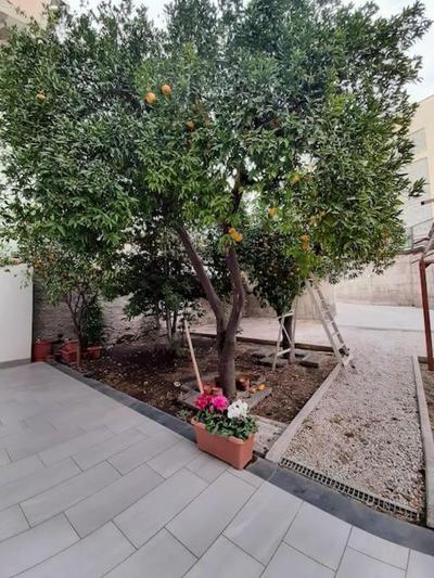Lemon Tree casa vacanze nel verde