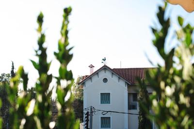 Central Kifissia BLέ LÍMε ÁPPεROL Malomar Homing