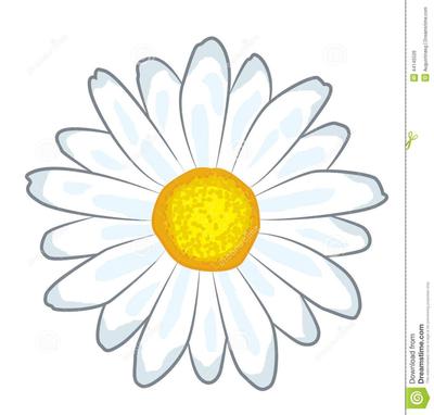 Solar da alegria (Pet friendly)