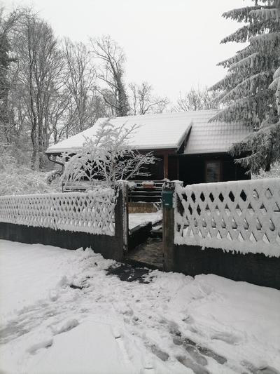 Cabin In The Woods Vukelic
