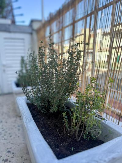 Homevision - City Chic - Cozy Balcony Bliss