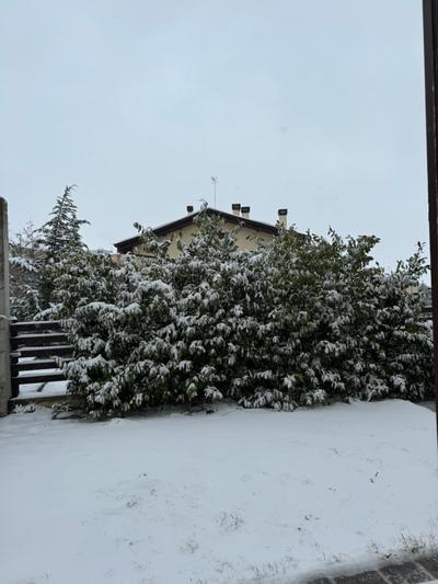 Pescocostanzo Oak house