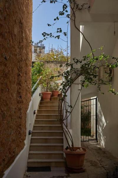 The sunny house