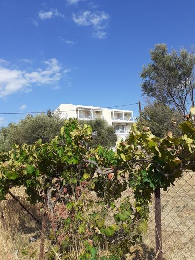 a comfortable studio near the University