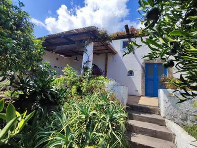 Paradise House in fruit garden