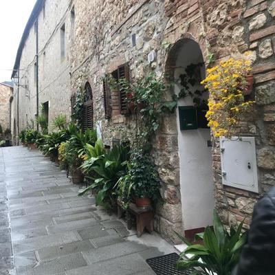 Nido di Rondine di Monteverdi Marittimo, Borgo di Canneto,