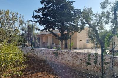Hübsche Villa mit privatem Pool im Olivenhain