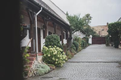 Öreg Prés Butikhotel