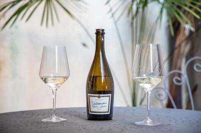 Ca' Latina - Cozy home in pieno centro storico