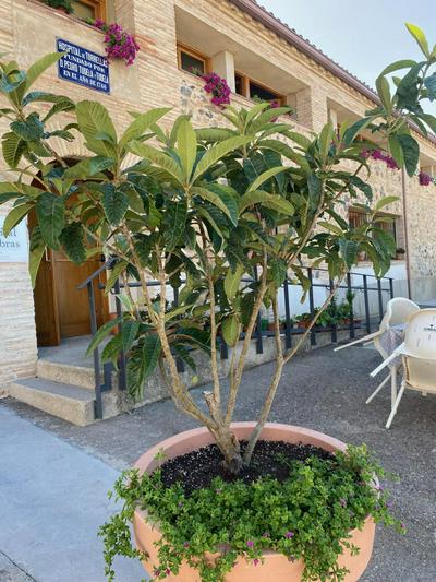 Casa Rural Hospital de las Palabras, Billede 2