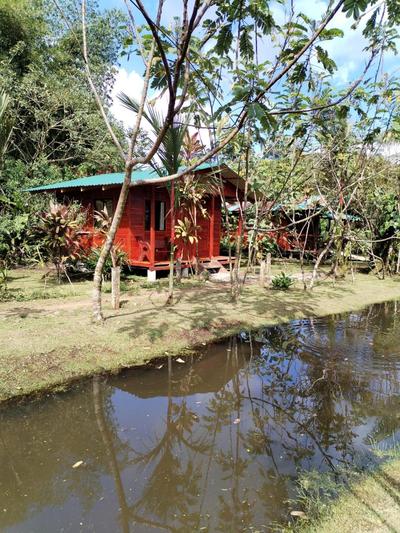 Cabañas Los Laguitos Rio Celeste