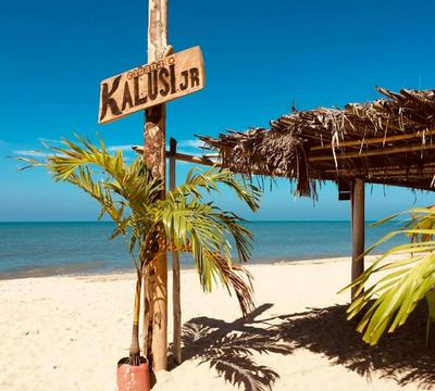 Kalusi JR