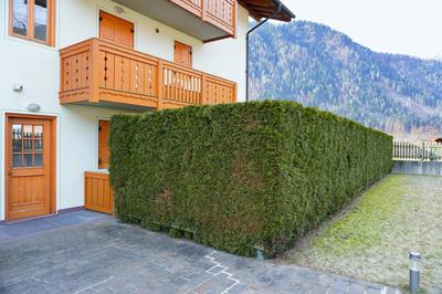 Bellissimo appartamento a Pinzolo
