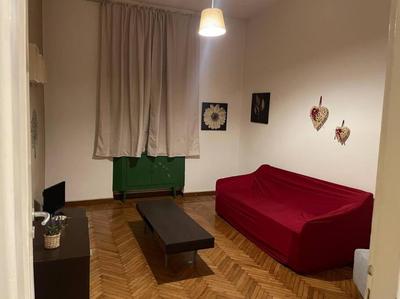 Papillon home 1