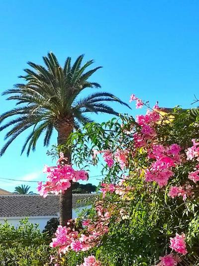 Bonito alojamiento muy cerca de la playa de Jávea