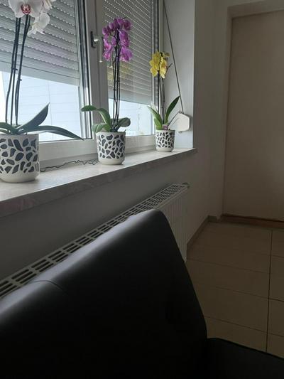2 Zimmer mit Bad und WC teilen