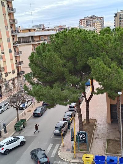 CASA MIA