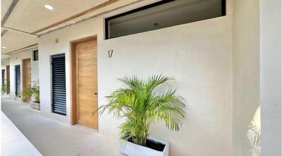 Cocay Lofts Tulum Welcome to the Jungle