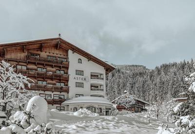 ASTER Boutique Hotel & Chalets