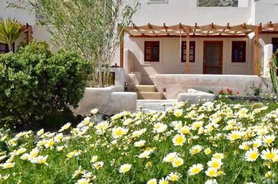 Cactus hideaway with sea views
