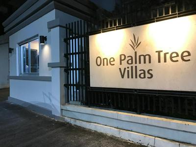 Condo 1 Palm Tree Across NAIA T3