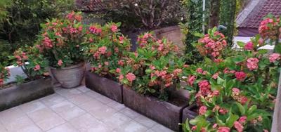 Balinese Luxury in The Centre of Seminyak