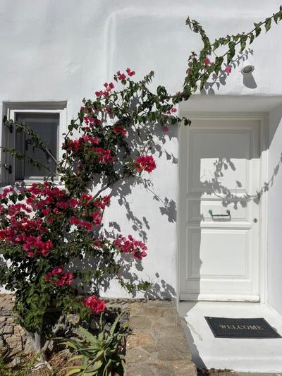 Luxurious Traditional Home