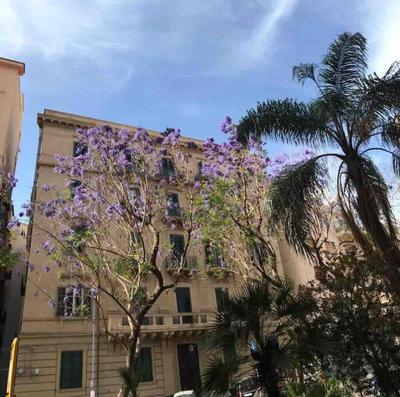 BIBI Appartamento a due passi dal tribunale centro