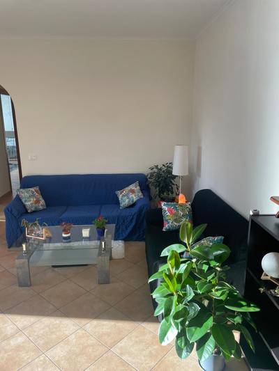 Aloise Home