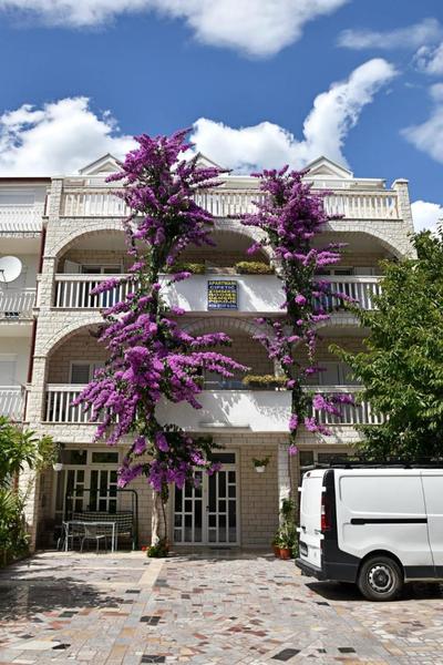 Apartments Cipetic