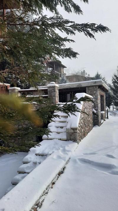 Del Mountain Home Arachova