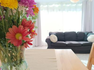 Apartamento en la Playa - Alicante, Costa Blanca - Los Olivos