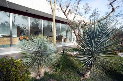 Elegant modern Villa in olive grove