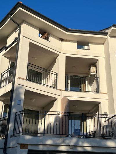 Apartments Amore