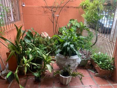 Edícula tranquila e bem localizada no Butantã