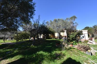 house francy 1