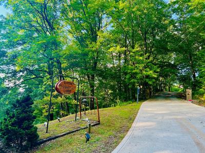 Little Greenbriar Lodge