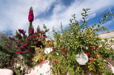 Dream Home- Santorini Cave House