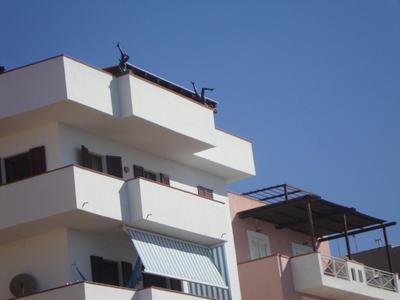 BB Lampedusa Cavaliere