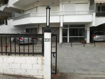 Sofy's House