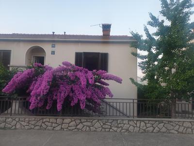 Apartments Mara