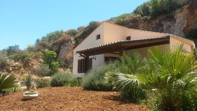 Agave Scopello