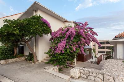 Guest House Marija in perfect location