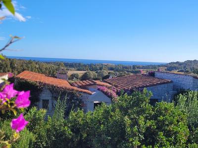 Li Conchi Villa 17