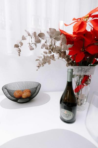 Suzana's Urban apartment