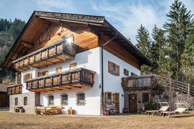 Thomasegg Hof Birke